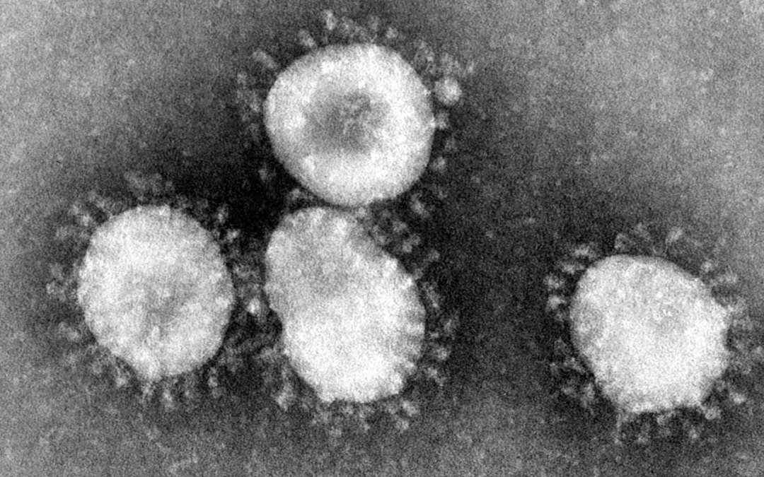 ariel-benjamin-mannes-virus